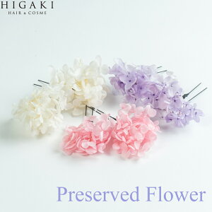  ԃvT[Yht[  2{Zbg 䂩 5{ ZbgsN  AC{[  x_[l ܎O U q 