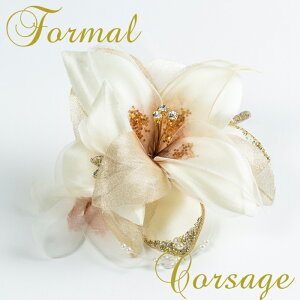  tH[} RT[W Ǝt[ x[W S[hi {  Ǝ  wyyMt_IzV}t[