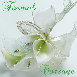 {tH[}RT[WJ[   zCgI[KW  Ǝ w yyMt_IzyyMt_bZzi