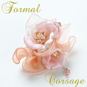  tH[}RT[W sNx[W S[hI[KW[{ Ǝ w yyMt_IzyyMt_̂z