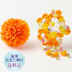 yzq܂ݍ׍H܎O  2_ZbgO ΔZbg~ }  ߂ IWX[s@ς񗯗 䂩