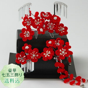 yz؂܂ݍ׍H ܎O3_   ^g߂3_Zbg RZbgZbgW{ l U