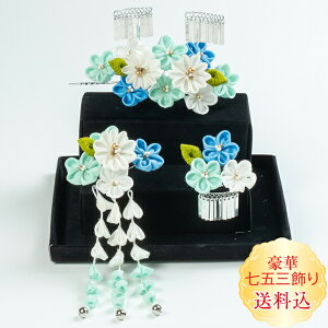 Vyz܎O 莵ΏR 3_Zbg 肩񂴂@܂ݍ׍H  F u[