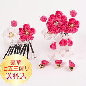 Vyzq܂ݍ׍H ܎O2_g sN X[s@ς ߂