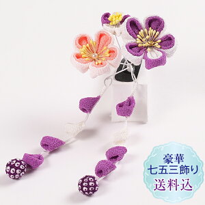 Vyz܎O OΔ~̉ԁ@܂ݍ׍H p[v 1_@ς񗯃X[s