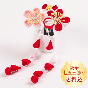 Vyz܎O OΔ~̉ԁ@܂ݍ׍H 1_@ς񗯃X[s