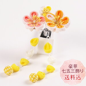 Vyz܎O OΔ~̉ԁ@܂ݍ׍H F1_@ς񗯃X[s