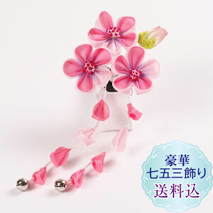 Vyzq܂ݍ׍H ܎O1_Jt sN X[s@ς