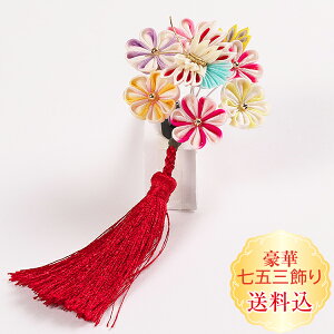 Vyz܎O Oΐ܂ݍ׍H Ԃƒ2_@ς񗯃X[s