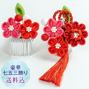 yVzq܂ݍ׍H܎O  2_ZbgO ΔZbg~̉ ߂  sNX[s@ς񗯗 䂩