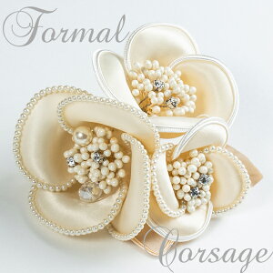  Ǝ  wtH[} RT[W JAp[ RT[W Ǝ p[eB[ Ǝ w AC{[ x[W yyMt_IzyyMt_