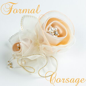 ؃tH[}RT[W AC{[x[W S[hI[KW[{ Ǝ w V}t[yyMt_Iz