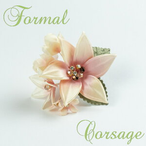 { Mtg ԃRT[W tH[} t[RT[WsN x[W i  Ǝw yyMt_IzyyMt_bZz