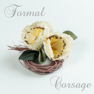 { Mtg ԃRT[W tH[} t[I[KW[zCg@x[W  i  Ǝw yyMt_IzyyMt_bZz