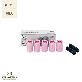 【LINE登録で300円クーポン】パナソニック ホットカーラープロカールン EH-9035-P05（ピンク）ローラー特大5個入り 美容院専売