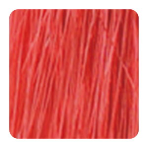 yLINEo^300~N[|zhw ANAP J[g[gg 150g|J[o^[ J[g[gg g[ggJ[ AJ`F[ ouKp[v uCgCG[ L