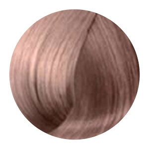 yLINEo^300~N[|zKYOGOKU IROMEJ[ Vo[RNV 1 80g|CJ[ AWXgVo[ _Ch lCr[Vo[ v`iVo[ Vo[ `^Vo[ J