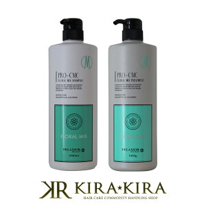 yLINEo^300~N[|zcw fNVI v CMC t[~bNX Vv[ 1000ml{g[gg 1000g v2 |vZbg|PRO-CMC vCMC t[ ~bNX F VR