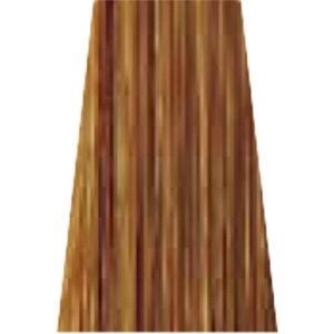 yLINEo^300~N[|z~Ar[eB[ [`FgRX uEeBg I[NuE wA}jLA 150g|J[ Ɩp wAJ[  Oc/L Oc/M Oc/D J[O 