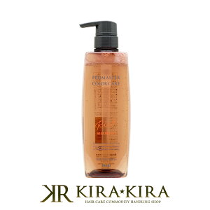 【LINE登録で300円クーポン】ホーユー プロフェッショナル プロマスター カラーケア リッチ シャンプー 600ml|hoyu professional ホーユー プロマスターカラー ホーユーシャンプー ホーユー シャン