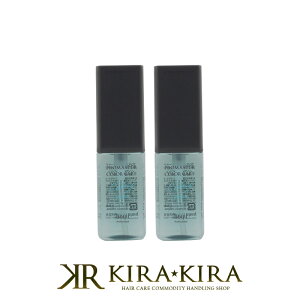 【LINE登録で300円クーポン】ホーユー プロフェッショナル プロマスター カラーケア カーミー アウトバストリートメント シャイン 80ml×2個セット|hoyu professional ホーユー プロマスターカラー