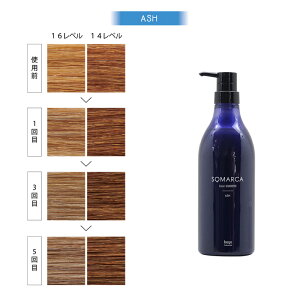 yLINEo^300~N[|zz[[ \}J J[Vv[ 770ml Ɩp|sN AbV J[ wAJ[ u[` F ΂ Vo[Vv[ TLVv[ V 