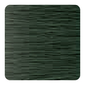 �y�K�`���ōő�10%OFF�z�z�[���[ �v���t�F�b�V���i�� �v���}�X�^�[ �A�v���G 1�� 80g�y�I���[�u�O���[�W���z|�z�[���[�v���t�F�b�V���i�� �z�[���[�v���}�X�^�[ �z�[���[�A�v���G �v���}�X�^