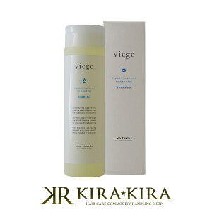 yLINEo^300~N[|zx B[WF Vv[ 240ml|x ߕi e@ꔄ