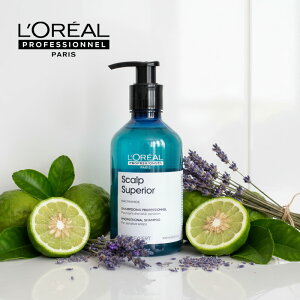 yLINEo^300~N[|zA vtFbVi ZG GNXp[g XJvX[yA g[gg 200ml|XJv g[gg XJvg[ggfP[g q 