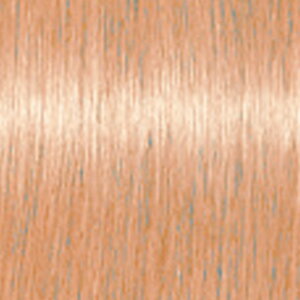 yLINEo^300~N[|zVcRt t@Co[vbNX {hJ[ u[`IVF[h 1 80g|BO-HB BO-MB BO-PLB BO-SLB BO-IDB BO-LB BO-VPB BO-PBy[֑Ή4܂Łz