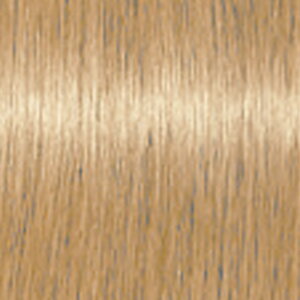 yLINEo^300~N[|zVcRt t@Co[vbNX {hJ[ x[VbNVF[hyuEz1 80g|BR14 BR10 BR8 BR4 u[` _uJ[ wAJ[ J[ wAu