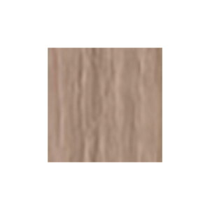 �y�K�`���ōő�12%OFF�z�������v���t�F�b�V���i�� �v���~�G���X �j���A���X���C�� 1�� 80g �y�i�`�������z|N13 N11 N9 N7 N5 N3 shiseido professional ���� ���邨�� ���F ������ �F���� �� �� �w�A�J��