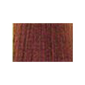 【LINE登録で300円クーポン】サンコール レアラ カラー ブラウンベース 【ウォームブラウン】 第1剤 80g|BW05 BW06 BW07 BW08 グレイカラー 白髪染め 微酸性 ヘアカラー カラー剤 ダメージ 低刺激 ダ