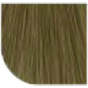 yLINEo^300~N[|zEG vtFbVi RXg p[tFNg { 1 i`uE NBCG[ 80g|J[ 5/03 6/03 7/03 8/03 򕔊Oi EG  wella p[tF