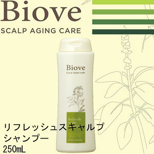 rI[u tbV XLvVv[250ml15000~ȏゲőIITꔄi wAPA PA XJvPA GCWOPA fB\X e TT Ƃ 