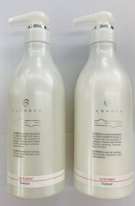 sZbgEtkf~lt[fBA X[NCXg Vv[a 550mL & g[ggb 550g