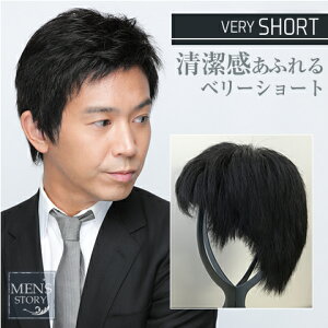 メンズ ウィッグ ショートの人気商品 通販 価格比較 価格 Com