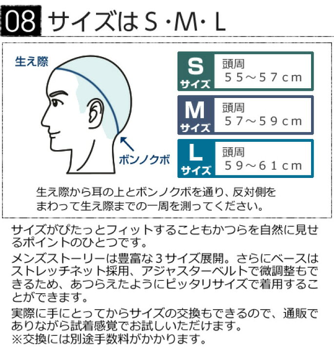 楽天市場】ヘアダイレクト 男性医療用かつら メンズストーリー 