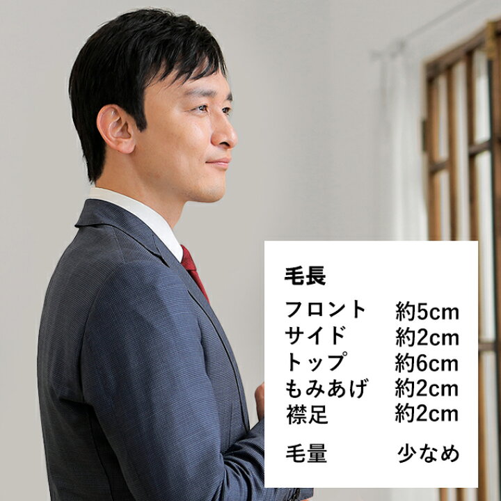 楽天市場】ヘアダイレクト 生え際が出せる男性医療用かつら（全頭 
