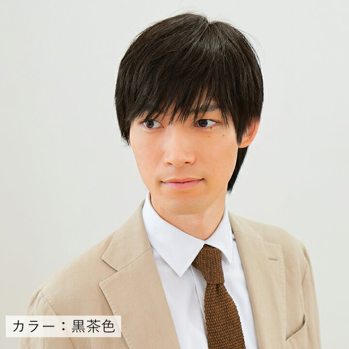 楽天市場】ヘアダイレクト 生え際が出せる男性医療用かつら（全頭 