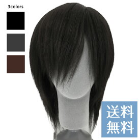 ヘアダイレクト 生え際が出せる男性医療用かつら（全頭タイプ） ★ノーカット★最高級人毛100％★交換・返品OKで安心★【男性医療用ウィッグ 医療用かつら 全頭かつら メンズ フルウィッグ】