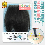 自由な形にカットしてプラス！増毛くんシリーズ増毛シート(人毛100%)シール式 貼る増毛 エクステ / ファ…