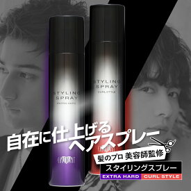 サロン専売品 アースハート スタイリングスプレー (エクストラハード / カールスタイル) 各種 200g サロン専売 レディース メンズ 美容室専売品 スプレー ヘアスプレー 巻き髪 パーマ ハード EARTHEART
