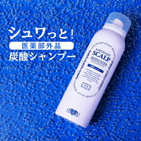 【髪のプロが作った医薬部外品シャンプー】サロン専売品・薬用スキャルプシャンプー /育毛 薄毛 増毛の気になる方へ 美容室専売品 プロ仕様 濃密炭酸泡シャンプー 男女兼用