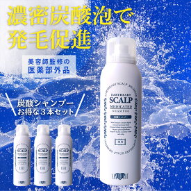 【お得なセット割】アースハート 薬用 炭酸 スキャルプシャンプー (3本セット) 医薬部外品 抜け毛予防 美容室専売品 プロ仕様 男性 女性 兼用 サロン専売 髪のプロ美容師監修