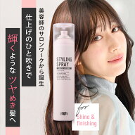 【新発売】サロン専売品 EARTHEART スタイリングスプレー (グロスシャイニング) 200g サロン専売 レディ…