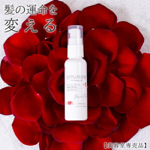 A[Xn[g 22vX1 wAIC (60ml) 􂢗Ȃg[gg q[gyA eꔄi EARTHEART Tꔄ _[WC _[WPA ێ 