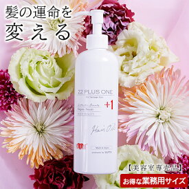 【美容室専売品】 洗い流さないトリートメント 22油プラスワン ヘアオイル(300ml)業務用サイズ◆通常サイズの5倍大容量 EARTHEART サロン専売 美容室 HAIR＆MAKE EARTH