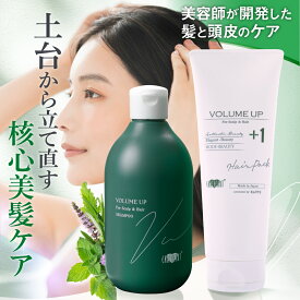 美容室専売品 アースハート【セット割】ボリュームアップ シャンプー＆ヘアパック 2点セット サロン専売 エイジングケア シャンプー スカルプ ヘアケア EARTHEART