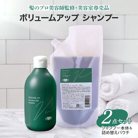 ★リニューアル★アースハート【2点セット】ボリュームアップ シャンプー 本体:300ml & 詰め替え用:500ml セット サロン専売 フケ かゆみ ニオイ対策 美容室専売品